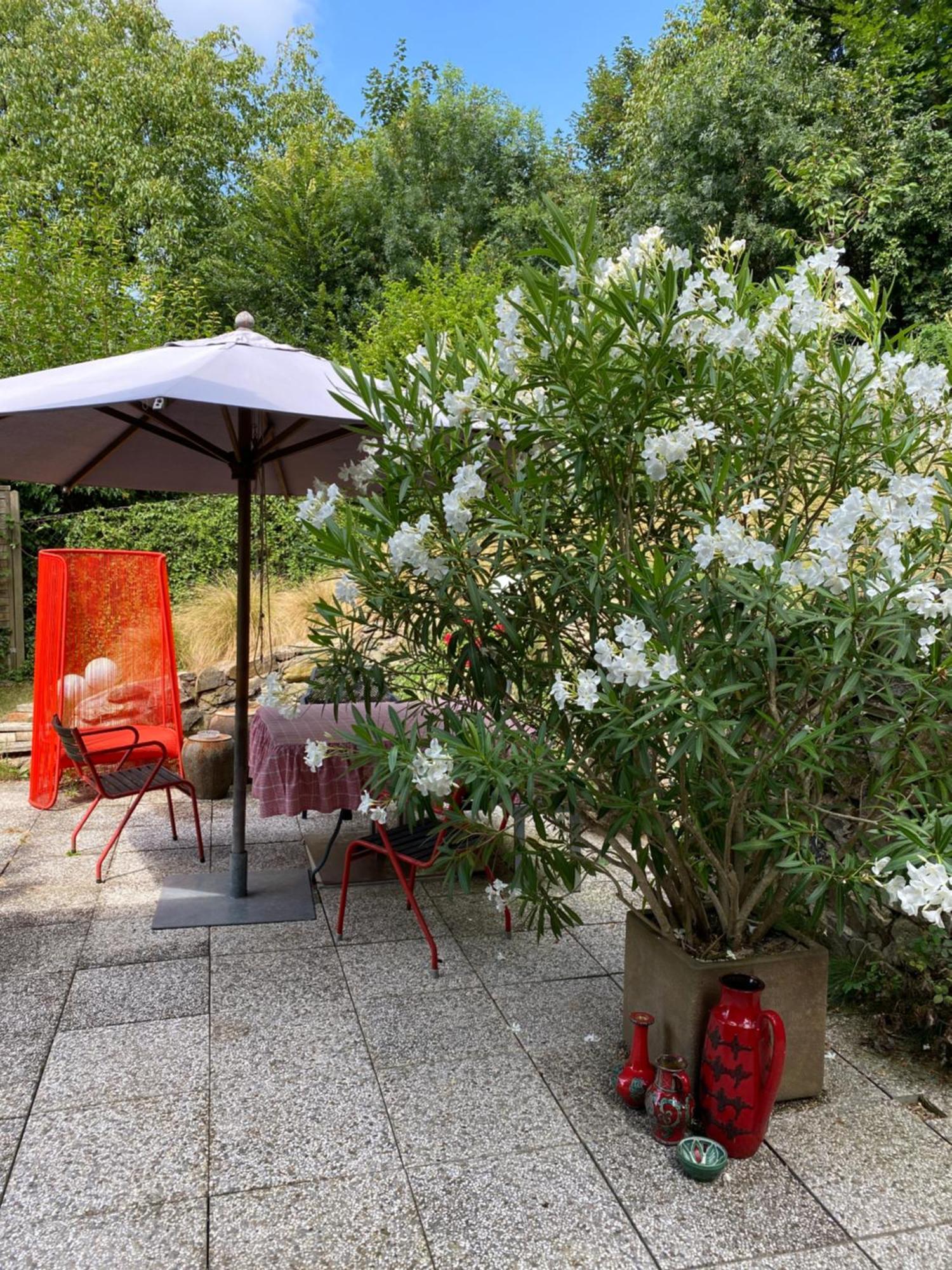 Jules&Jim Gaestehaus Linz Ngoại thất bức ảnh